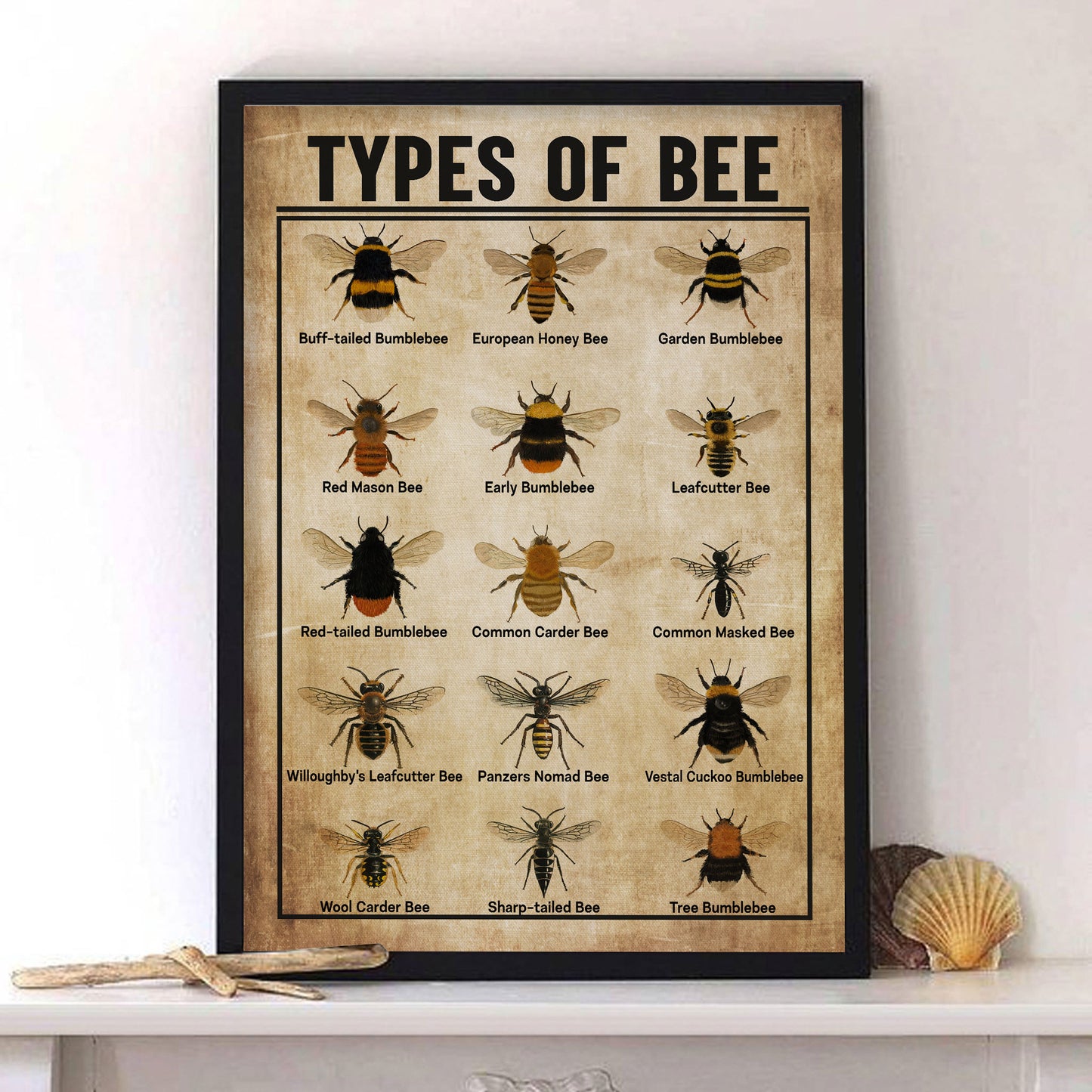 Types of Bee Knowledge Poster