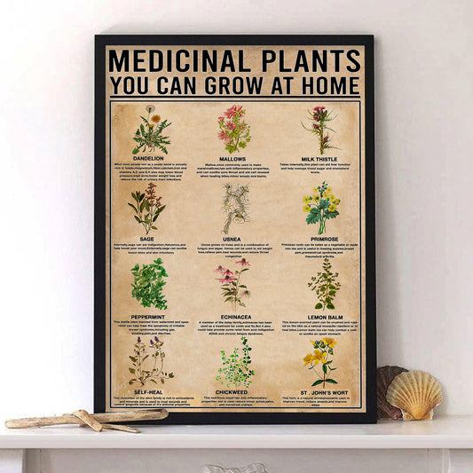 Medicinal Plants Knowledge Poster