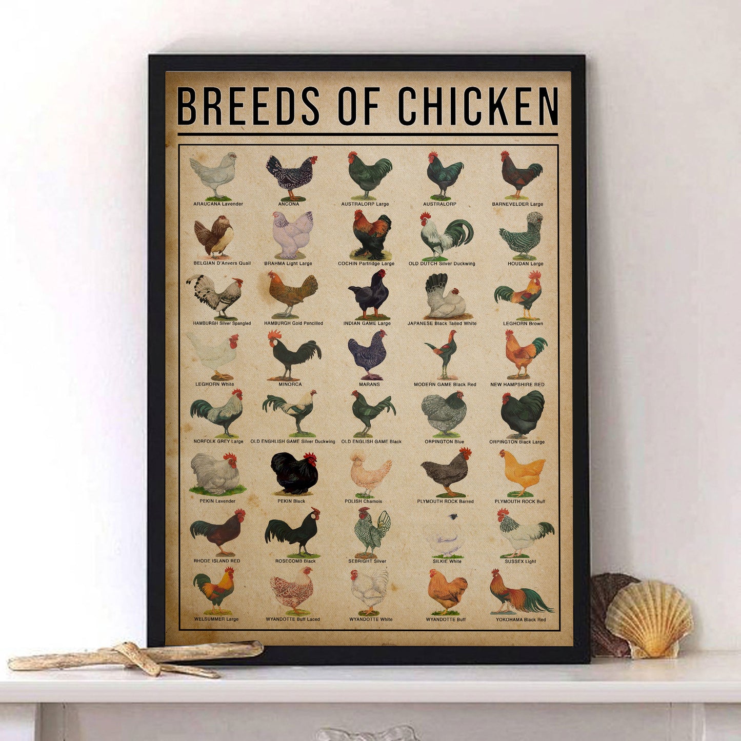 Breeds of Chicken Knowledge Poster