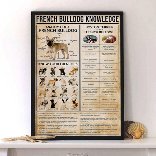 French Bulldog Knowledge Poster