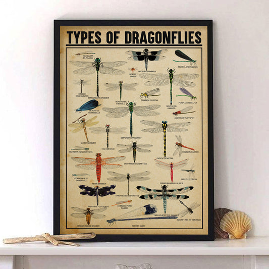 Types of Dragonflies Knowledge Poster