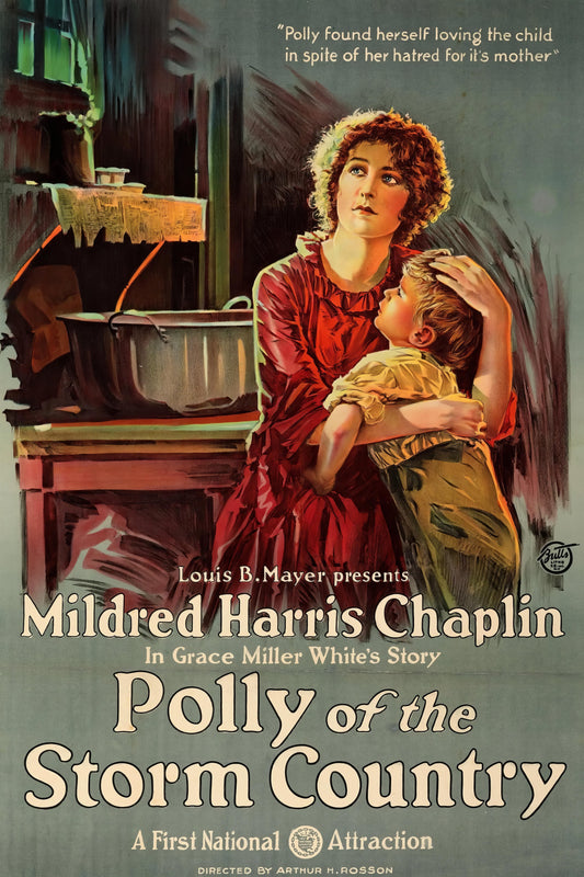 Polly Of The Storm Country Movie Poster