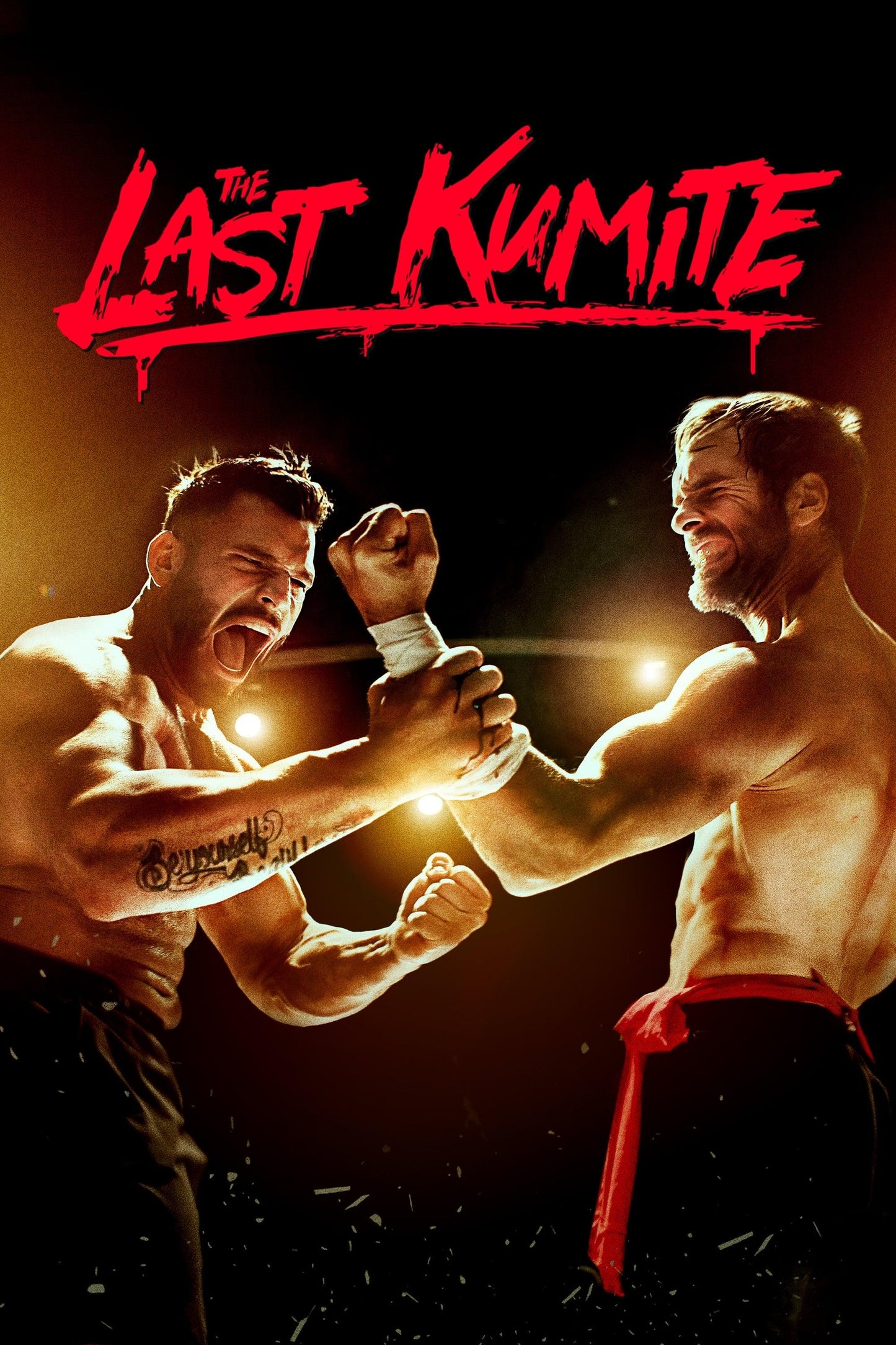 The last Kumite Movie Poster