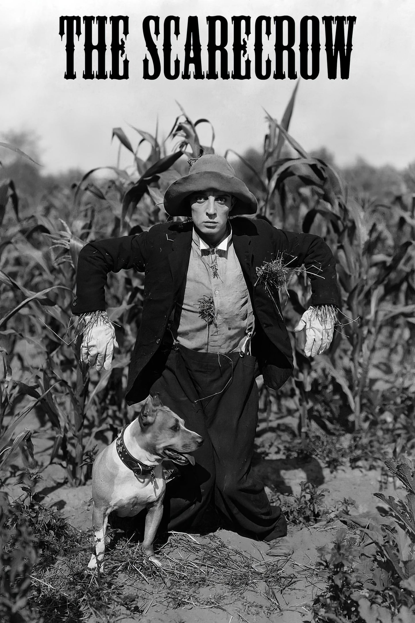 The Scarecrow Movie Poster