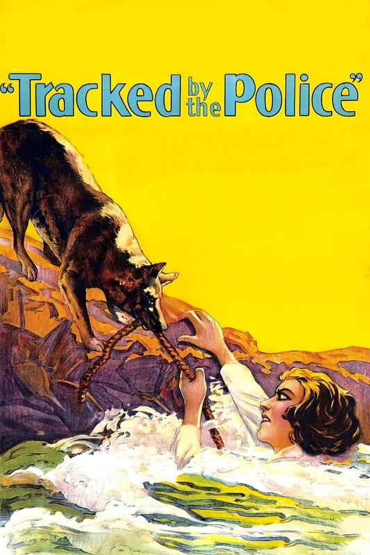 Tracked By The Police Movie Poster